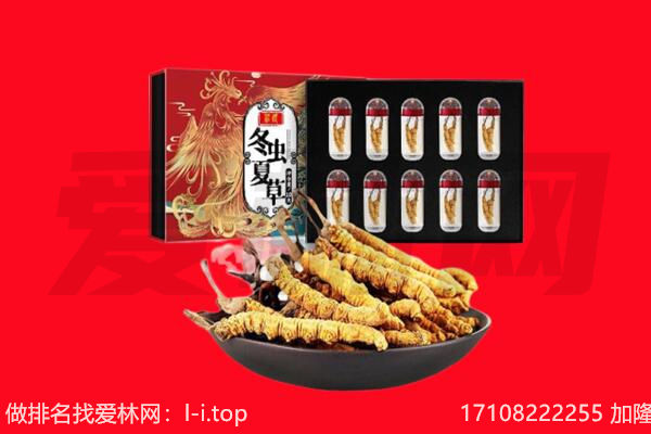鄂伦春旗回收虫草.jpg